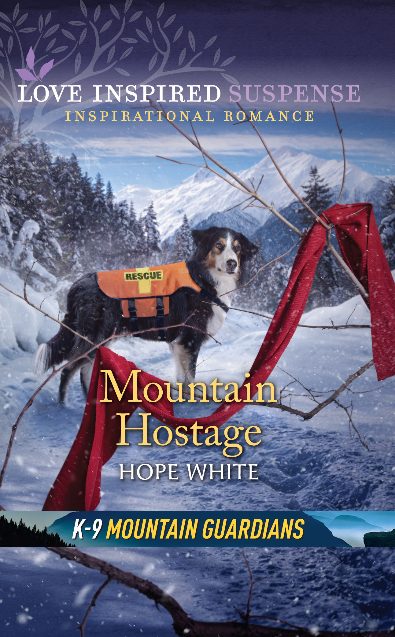 Mountain Hostage by Hope White